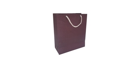 Sacola Cor Roxa - medida 25x21x9