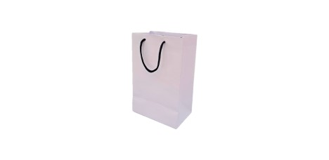 Sacola Cor Branca  Medida 22x14x 09