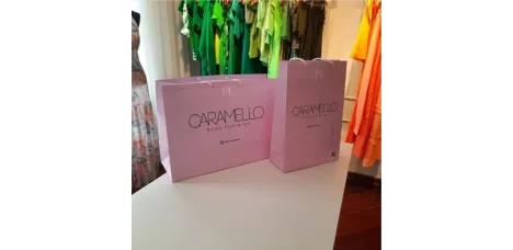 Sacola para Roupas- Medida 9 x 23 x 32