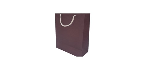 Sacola Cor Roxa - medida 9x21x25