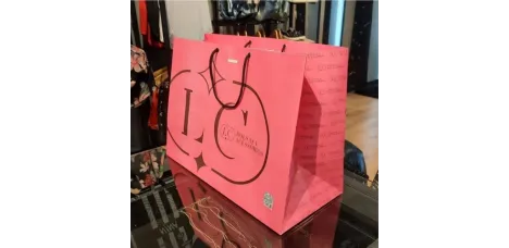 Sacola Personalizada Medida 19 x 40 x 30 cm 