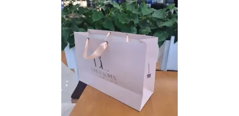 Sacola Personalizada- Medida 14 x 28 x 38 cm
